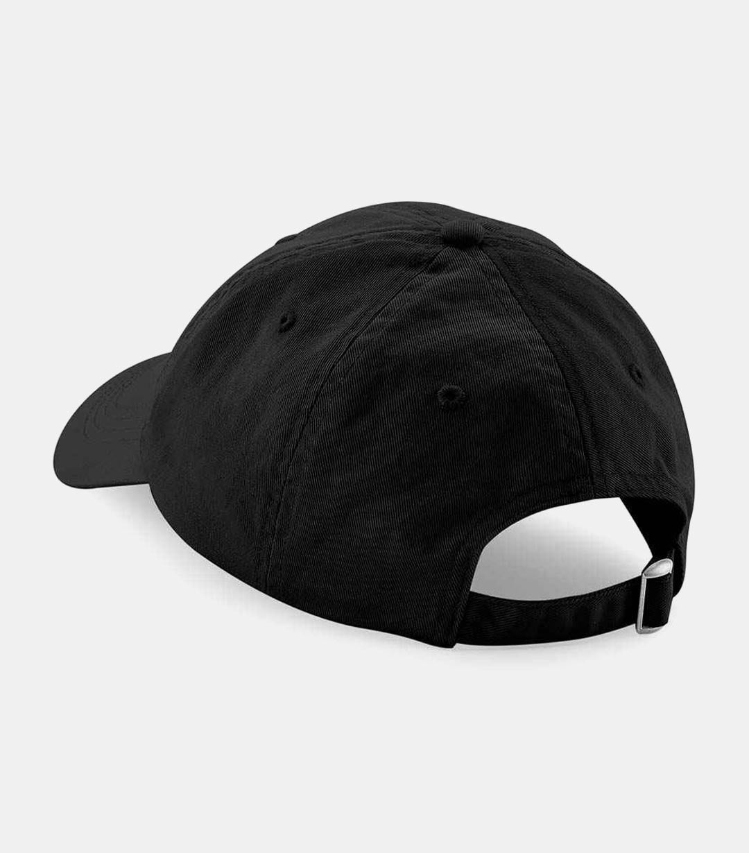 Dad Cap "I didnt ask"